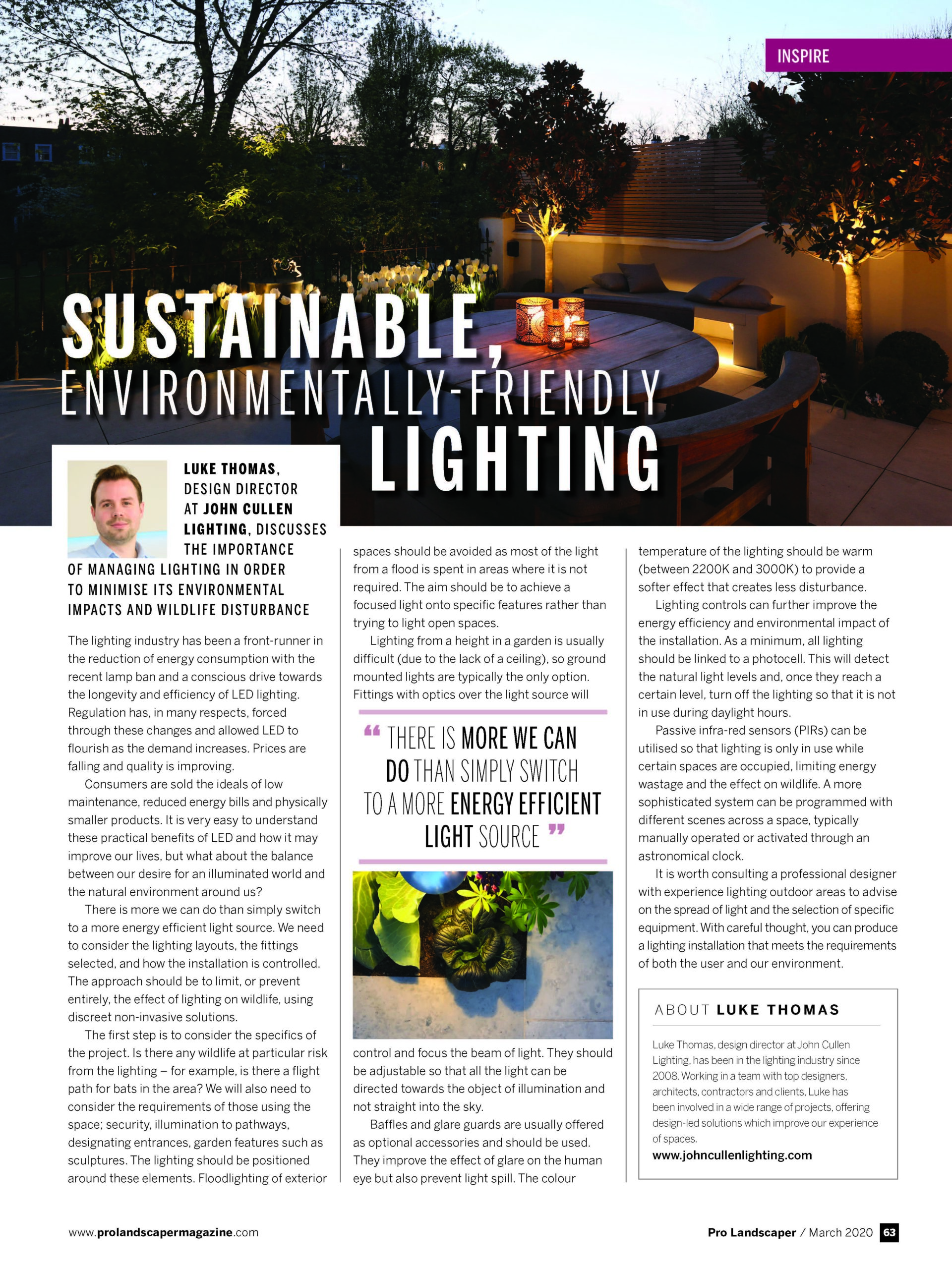 Sustainable Lighting Tips with Pro Landscaper