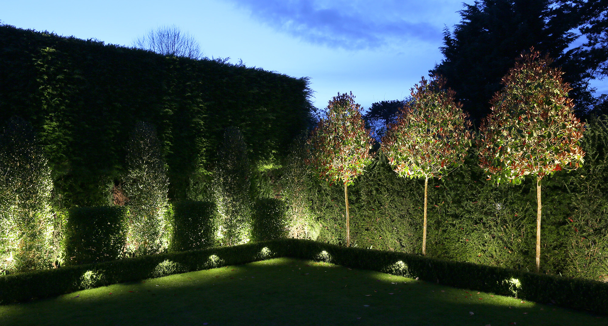 lighting to lawn with uplit trees