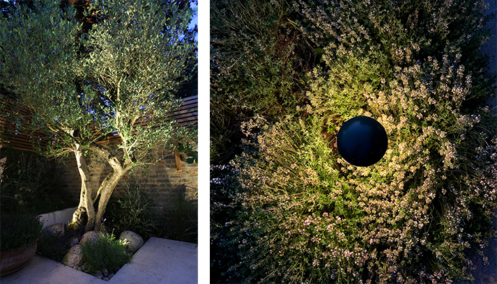 Spike light fittings in a flowerbed provide interest on terraces