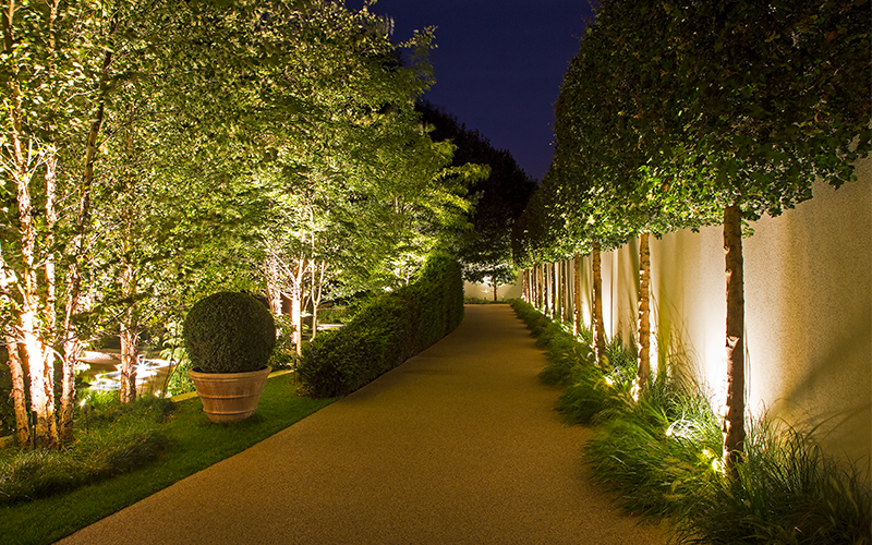 uplighting along a long driveway 