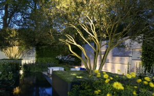 Lighting a small tree in a garden 