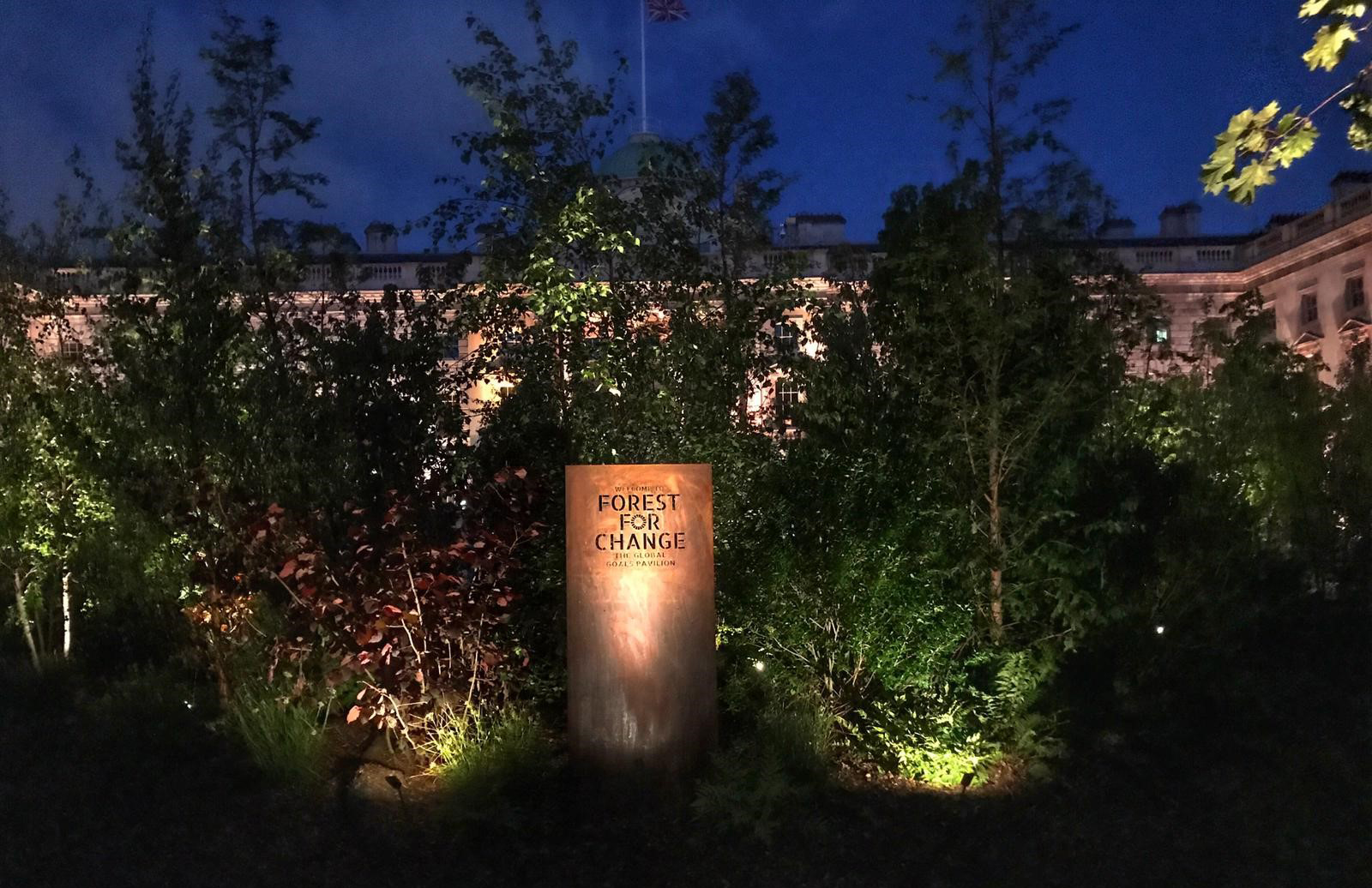 lighting up forest for change sign