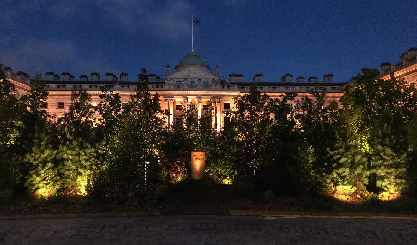 Forest for change lit by john cullen lighting