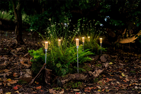 Carellas at Jardin Blanc lit by John Cullen