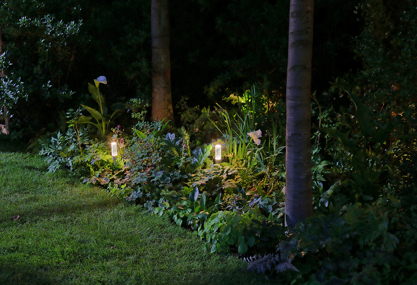 Carella spike lights in flower beds