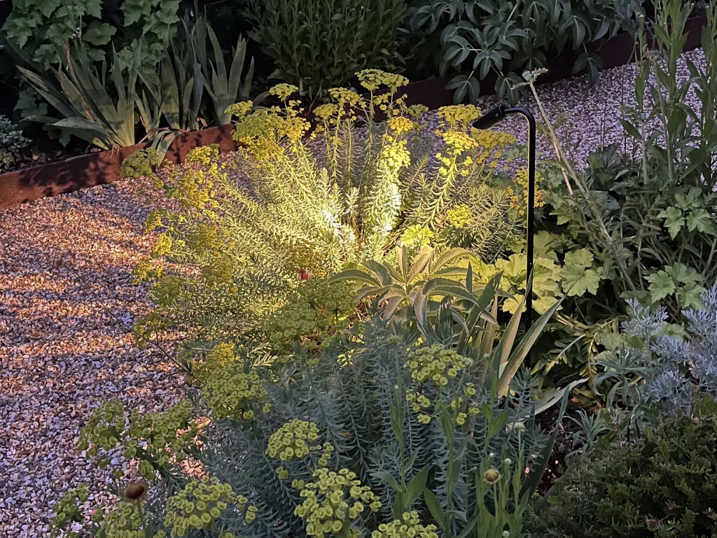 Single stem Dark Sky Kew 25 spotlight casts shadows over planting