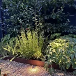 Three sizes of sky dark kew lights in planting