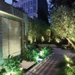 garden with layered lighting, olive tree and water rill