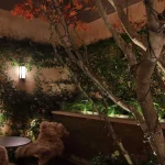 Small patio garden with table and chairs and wall mounted lighting