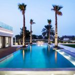 Lit up pool with palm trees