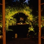 View outsideof conservatory doors to garden with lit olive tree at end