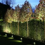 flood lighting of hedge by spike light fittings