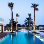 view down swimming pool to uplit palm trees