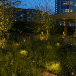 Randle Siddeley Flora & Ember Garden - Garden path lighting